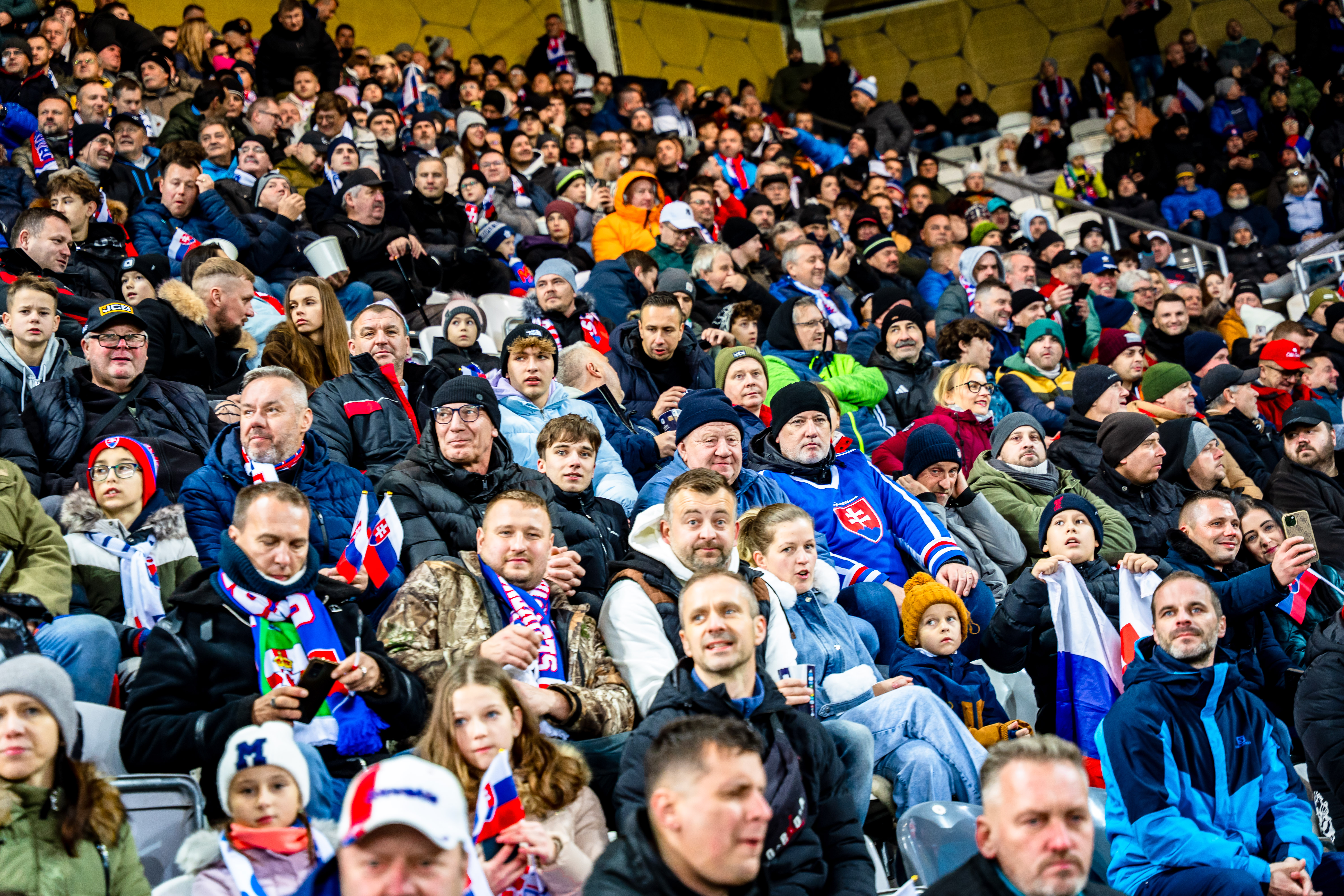 Slovensko vs Severne Irsko-18